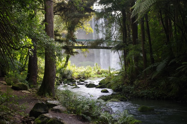 Singapore Christian Law Firm, Yuen Law LLC, Spiritual Well: Trees By The River