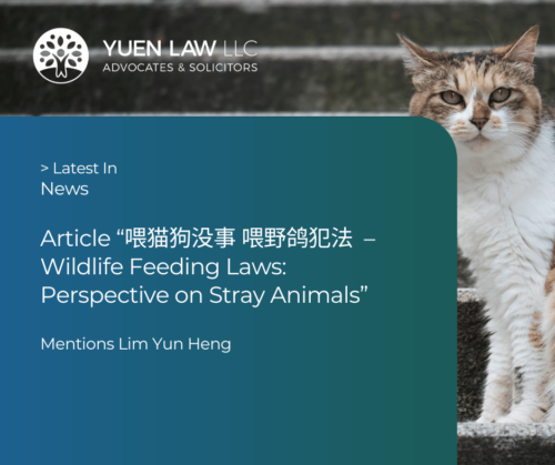 Article “喂猫狗没事 喂野鸽犯法 – Wildlife Feeding Laws: Perspective on Stray Animals”