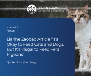 Article “喂猫狗没事 喂野鸽犯法 – Wildlife Feeding Laws: Perspective on Stray Animals” Lawyer Lim Yun Heng gives his perspective