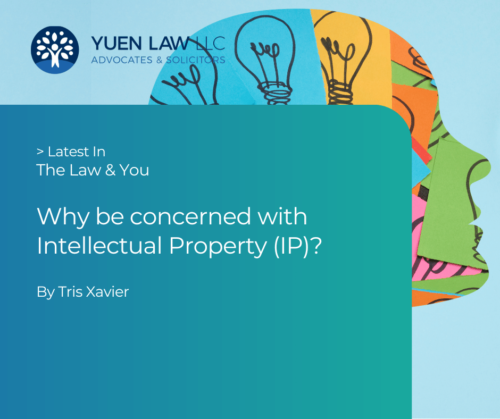Why be Concerned with Intellectual Property (IP)?