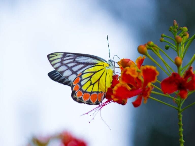 Yuen Law - Spiritual Well - This is Not the End - When Marriage Ends, Can Life (Love) Begin?